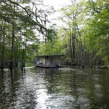 Load image into Gallery viewer, Spring Scent Room and Linen Spray Collection