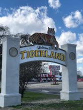 Load image into Gallery viewer, Tigerland Candle (3 and 10 ounces)